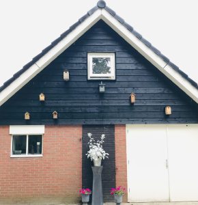 Vooraanzicht van ons atelier De Haar. Huisje met puntdak. Op de zwarte planken wand hangen 8 vogelhuisjes. Eronder staan een aantal planten.